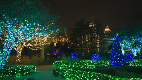 A park covered in Christmas lights somewhere in Atlanta, Georgia.