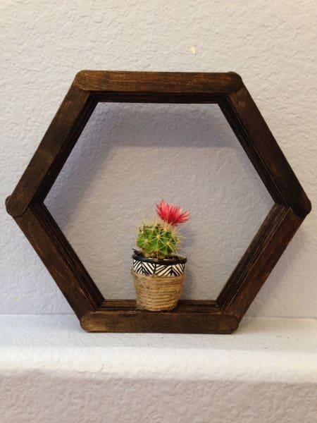 A cactus on a popsicle stick hexagon shelf.