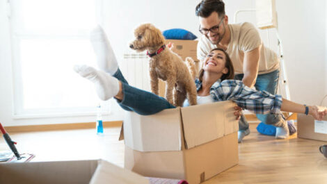 Couple playing in cardboard box with dog.